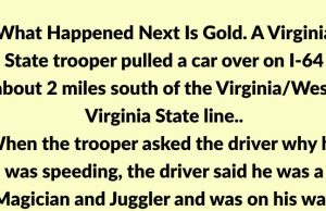 This Cop Was Pulling Someone Over When Suddenly A Drunk Man Got In His Patrol Car.