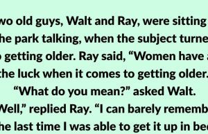 Two old guys, Walt and Ray, were sitting in the park talking