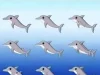 How many dolphins can you spot in the picture?