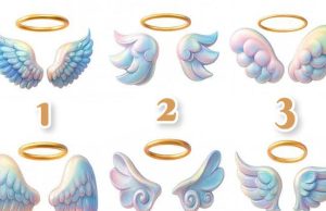 Pick Your Wing To Reveal Who Your Guardian Angel Is