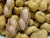 Doctors Reveal That Eating Peanuts Causes …