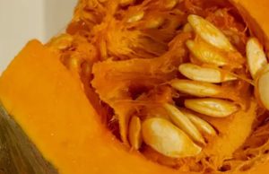 Doctors reveal eating pumpkin causes in ….
