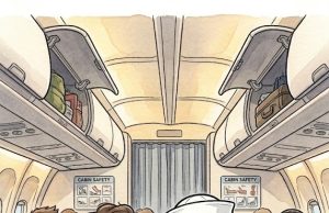 During a commercial airline flight