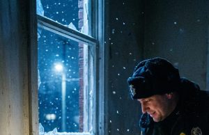 They judged him by his scars. But in a silent moment of danger, this Pitbull protected a blind cat and saved a veteran, revealing a truth that the world wasn’t ready to hear.