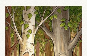 The Forest Expert’s Opinion