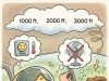 She Made ONE Tiny Mistake at 2,500 Feet!